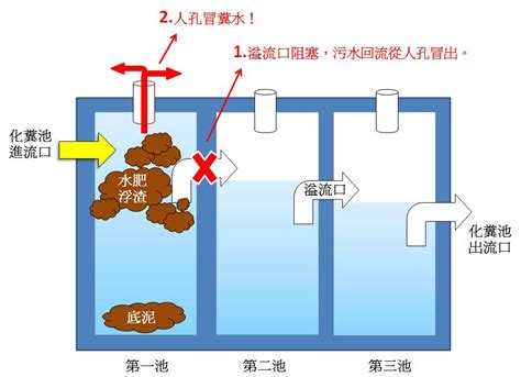 化糞池|現場洞察：每個人都需要了解現場化糞池系統的知識